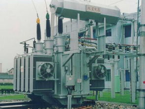 處罰到期仍未整改完畢 雙星變壓器繼續(xù)被國網(wǎng)停標